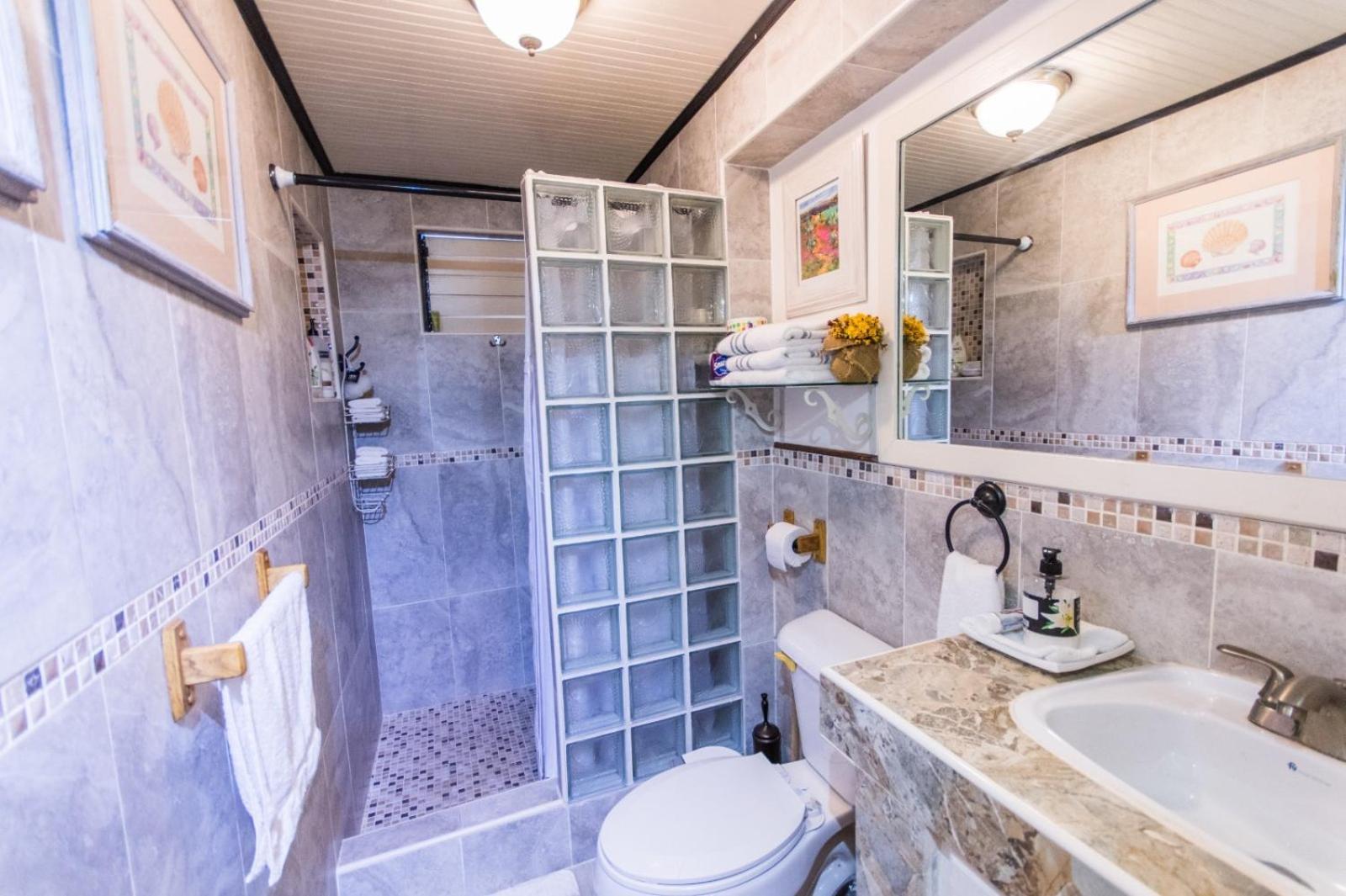 Shama'S Guest House クライストチャーチ 部屋 写真